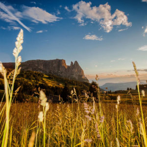 Seiser Alm / Alpe di Siusi